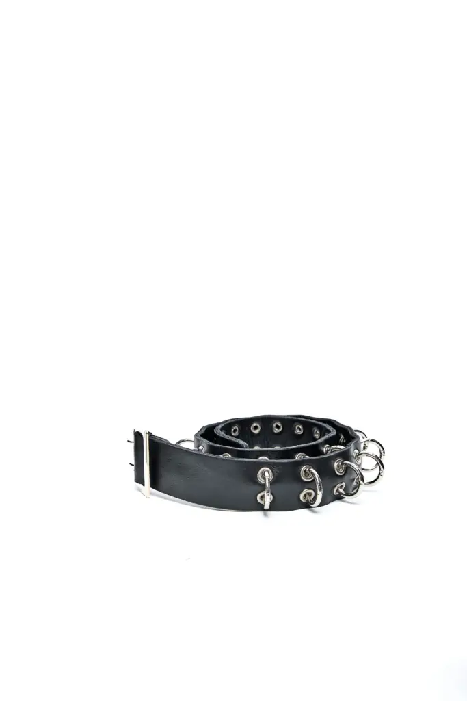 The Sun Leather Belt